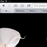 Profile picture of CapLadyAdorn