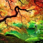 Profile picture of stormcub