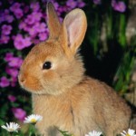 Profile picture of kaikaikaicutie