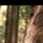 Profile picture of teepee