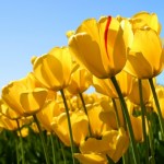 Profile picture of 1480404