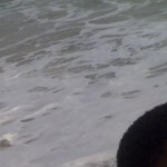 Profile picture of Tiesevic