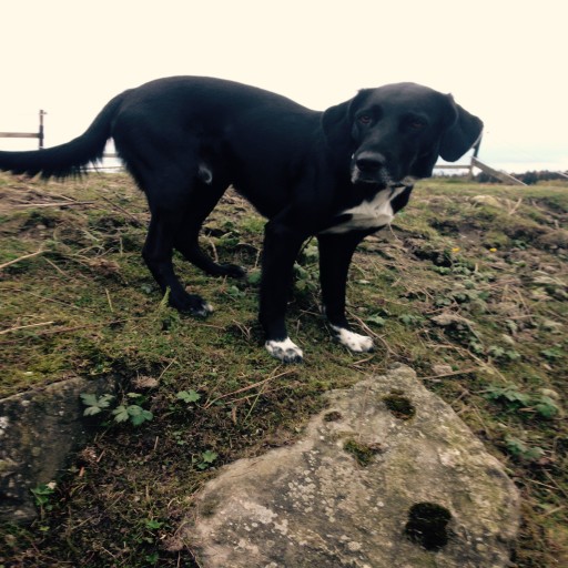 Profile picture of Seriously