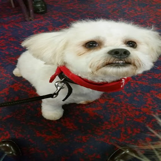 Profile picture of jackiemac21.jm@gmail.com