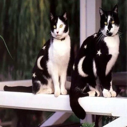 Profile picture of Friendsfoever