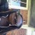 Profile picture of Sha24billingsley