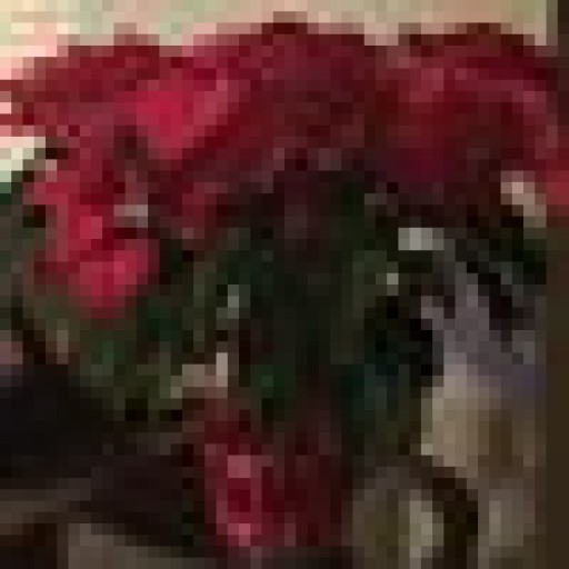 Profile picture of nujann@aol.com