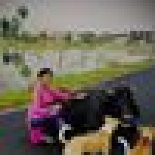 Profile picture of ChinniThilang@ask-oracle.com