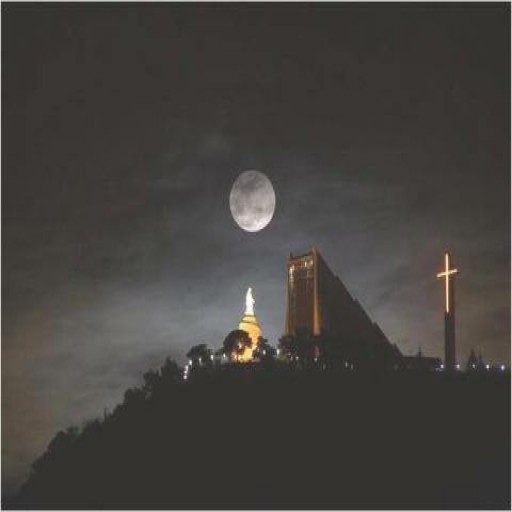 Profile picture of tgoubran