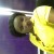 Profile picture of cedar