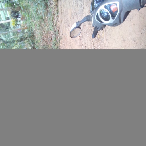 Profile picture of bibin am