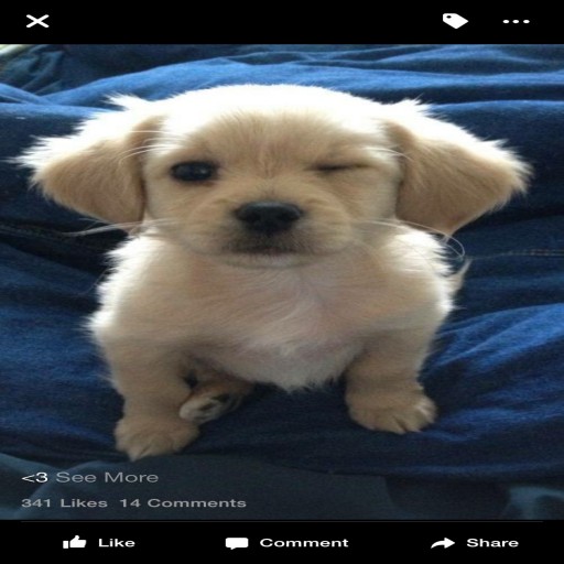 Profile picture of luckyguy