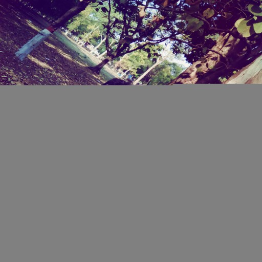 Profile picture of papurai120@gmail.com