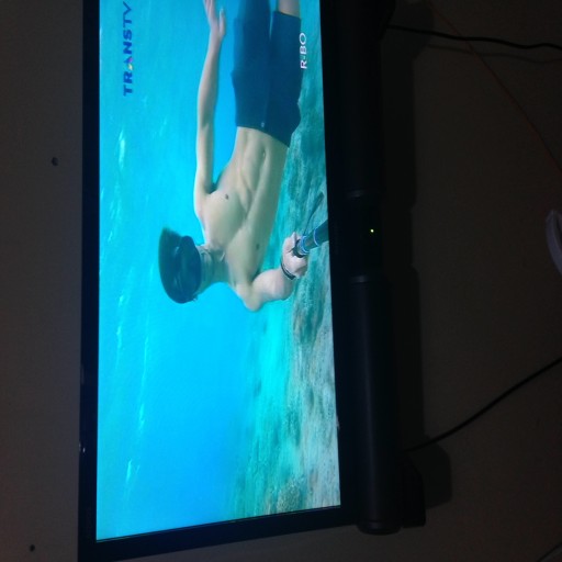 Profile picture of bulu