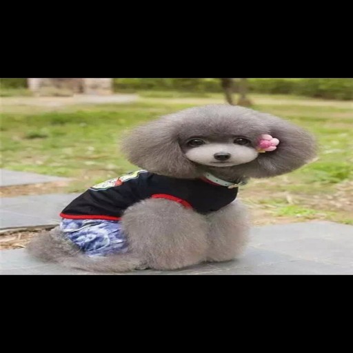 Profile picture of estefany feng