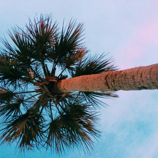 Profile picture of casstys