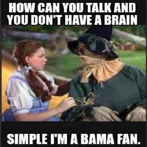 Profile picture of nickit3405