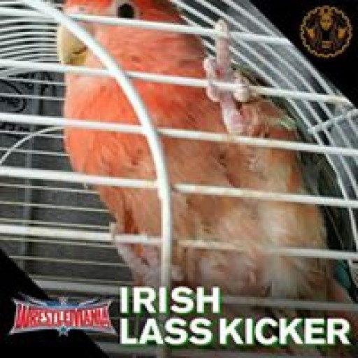 Profile picture of MindyGaudettetrudeau@ask-oracle.com