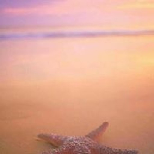 Profile picture of irisho4321@outlook.com