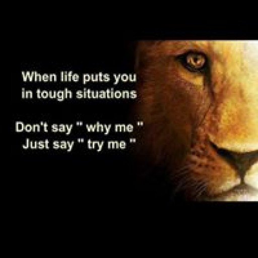 Profile picture of beautyrose.shivani@gmail.com