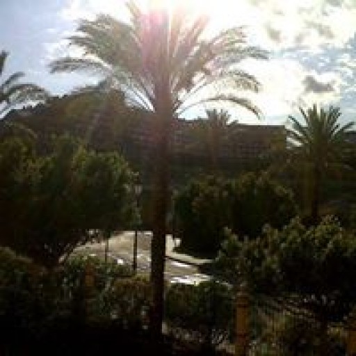 Profile picture of heathersteenson@gmail.com