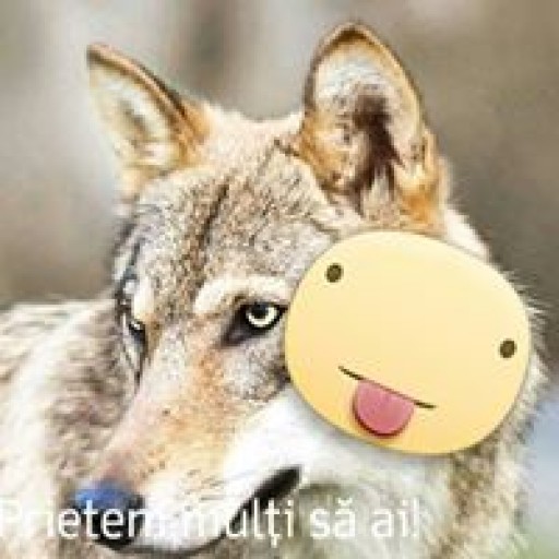 Profile picture of talmaciana1@gmail.com