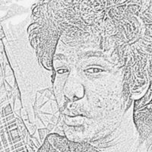 Profile picture of alvinjameskujur@gmail.com