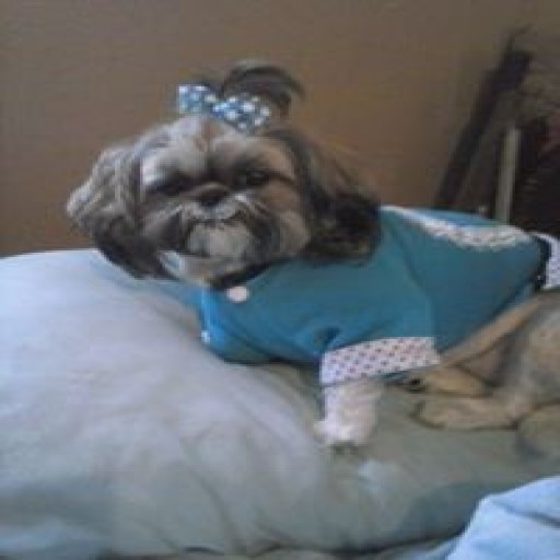 Profile picture of jennifermay81@live.com