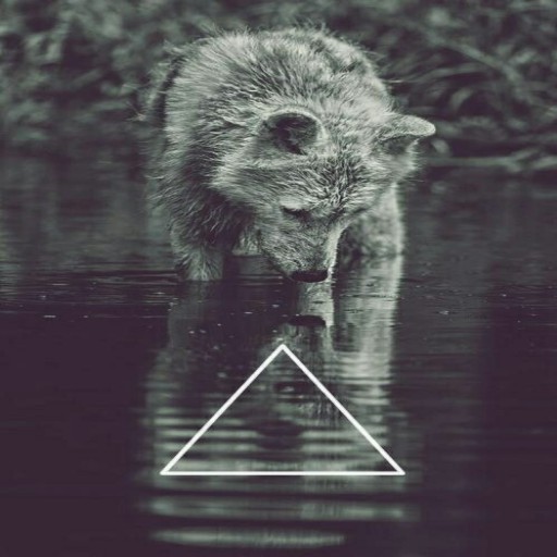 Profile picture of capricorn5