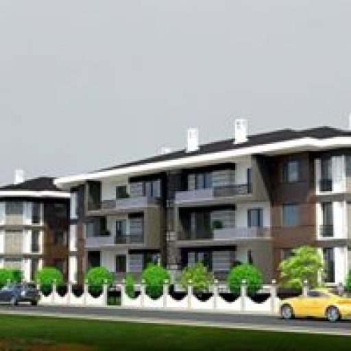 Profile picture of AliKalkan@ask-oracle.com