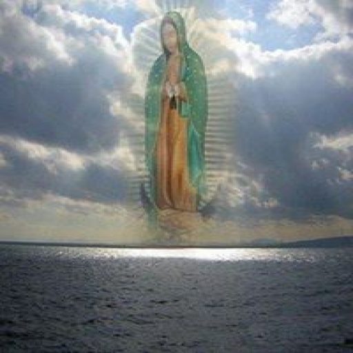 Profile picture of colombiano_013@hotmail.com