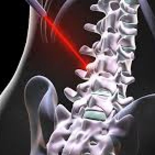 Profile picture of Navaladi Shankar