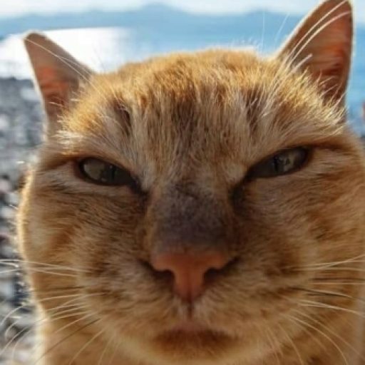 Profile picture of Mahugee