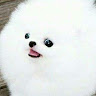 Profile picture of sirbacongod420