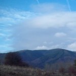 Profile picture of sophia82