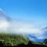 Profile picture of orangetea881